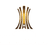 Copa Libertadores